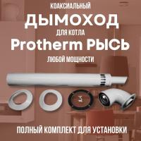 Дымоход для котла Протерм (Protherm) Рысь любой мощности, комплект антилед (Китай) (DYMrys)